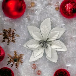 Poinsecja Gwiazda Betlejemska ozdoba świąteczna kwiat biały