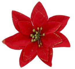 Poinsecja Gwiazda Betlejemska ozdoba świąteczna kwiat czerwony