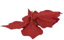 Poinsecja Gwiazda Betlejemska ozdoba świąteczna welurowa kwiat duży czerwony