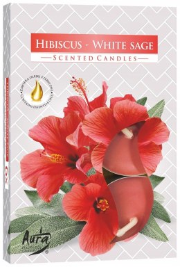 Podgrzewacze zapachowe 6szt hibiskus - biała szałwia
