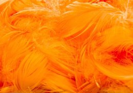 Piórka dekoracyjne kolorowe 220 szt pomarańczowy