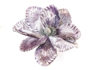 Świąteczny Kwiat Poisencja 23cm Fioletowy