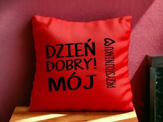 PODUSZKA SATYNOWA PREZENT WALENTYNKI DLA DZIEWCZYNY CHŁOPAKA ŻONY MĘŻA