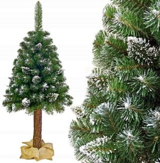 Choinka sztuczna na pniu SOSNA SZRONIONA 220cm