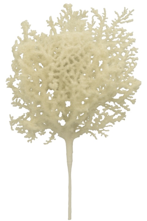 Gałązka ozdobna ozdoba świąteczna KORAL