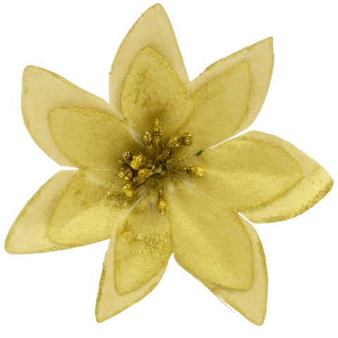 Poinsecja Gwiazda Betlejemska ozdoba świąteczna kwiat złoty