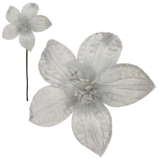 Gwiazda betlejemska poinsecja na piku kwiat ozdoba dekoracja świąteczna