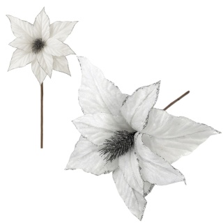 Gwiazda betlejemska poinsecja na piku kwiat ozdoba dekoracja świąteczna