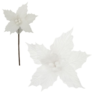 Gwiazda betlejemska poinsecja na piku kwiat ozdoba dekoracja świąteczna