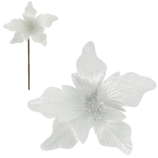 Gwiazda betlejemska poinsecja na piku kwiat ozdoba dekoracja świąteczna