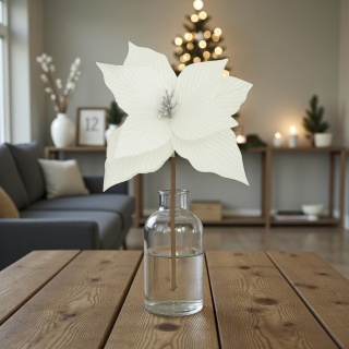 Gwiazda betlejemska poinsecja na piku kwiat ozdoba dekoracja świąteczna