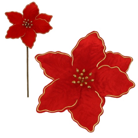 Gwiazda betlejemska poinsecja na piku kwiat ozdoba dekoracja świąteczna