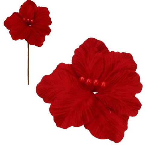 Gwiazda betlejemska poinsecja na piku kwiat ozdoba dekoracja świąteczna