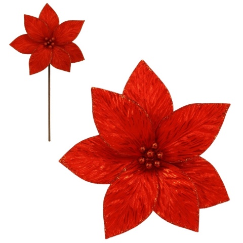 Gwiazda betlejemska poinsecja na piku kwiat ozdoba dekoracja świąteczna