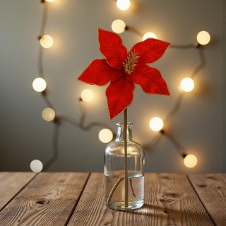 Gwiazda betlejemska poinsecja na piku kwiat ozdoba dekoracja świąteczna