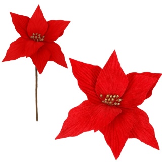 Gwiazda betlejemska poinsecja na piku kwiat ozdoba dekoracja świąteczna