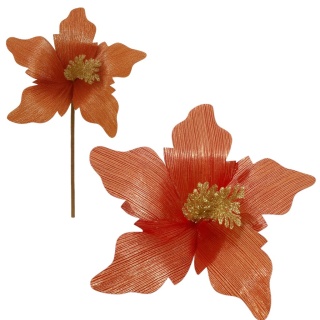 Gwiazda betlejemska poinsecja na piku kwiat ozdoba dekoracja świąteczna