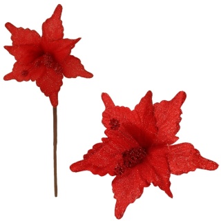 Gwiazda betlejemska poinsecja na piku kwiat ozdoba dekoracja świąteczna