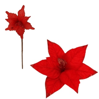 Gwiazda betlejemska poinsecja na piku kwiat ozdoba dekoracja świąteczna