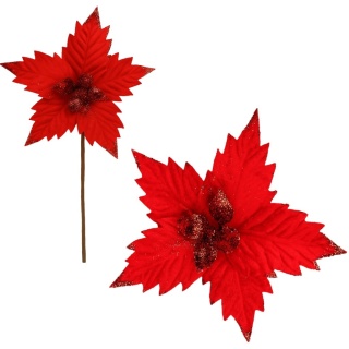 Gwiazda betlejemska poinsecja na piku kwiat ozdoba dekoracja świąteczna