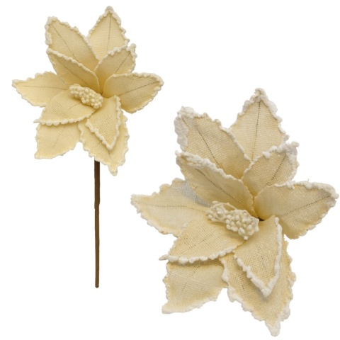 Gwiazda betlejemska poinsecja na piku kwiat ozdoba dekoracja świąteczna