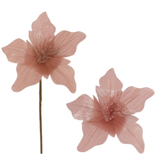 Gwiazda betlejemska poinsecja na piku kwiat ozdoba dekoracja świąteczna