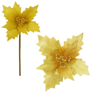 Gwiazda betlejemska poinsecja na piku kwiat ozdoba dekoracja świąteczna