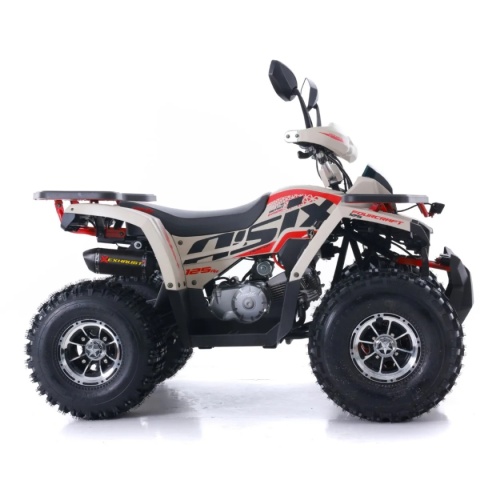 Quad ASIX FOURCRAFT 125 4T 1+R automat piaskowy