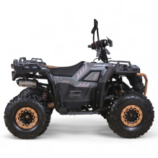 Quad ASIX GRIZZLY 125 4T 1+R automat szary