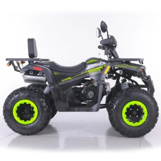 Quad ASIX RANGER 250 4T szary
