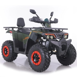 Quad ASIX RANGER 250 4T zielony