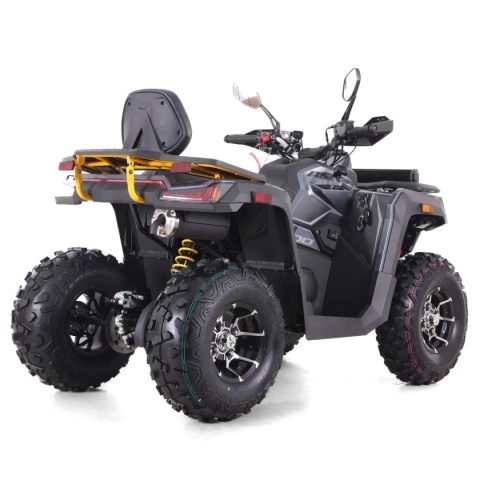 Quad ASIX TYTAN 200RR 4T szary